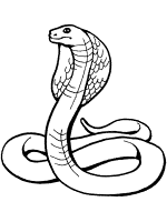 Snakes coloring pages and printable activities