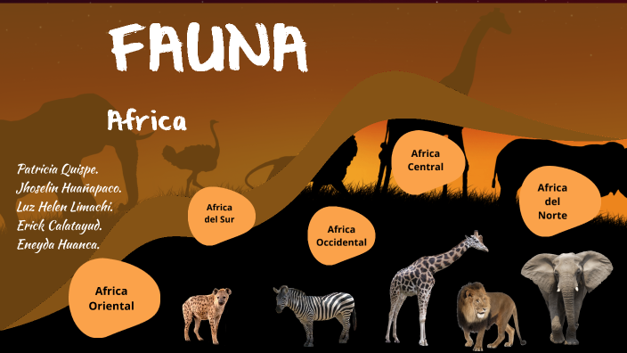 Fauna africa by eneyda ghs