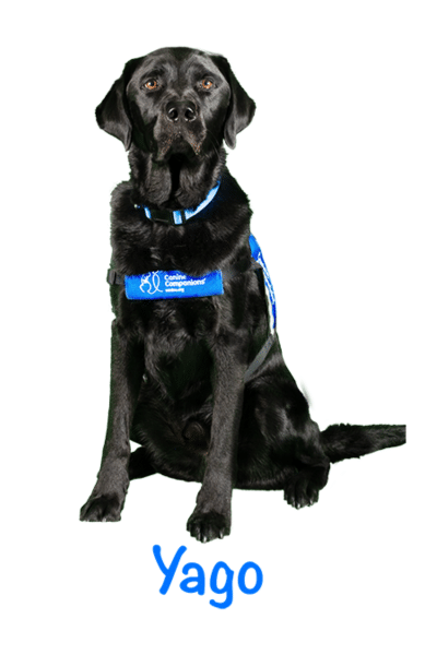 National service dog month