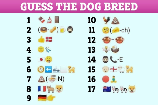 Can you guess all dog breeds in the latest emoji brainteaser the sun