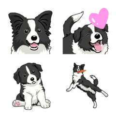 Border colliedog â emoji