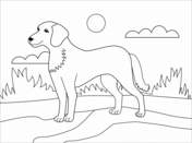 Service dog coloring page free printable coloring pages