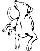 Service dog coloring page free printable coloring pages