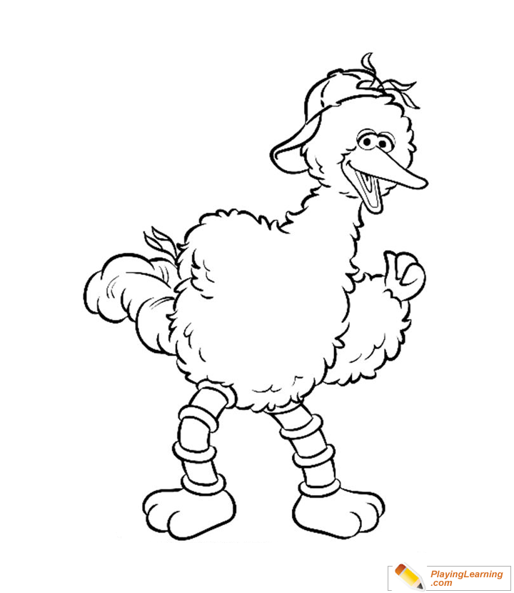 Big bird coloring page free big bird coloring page