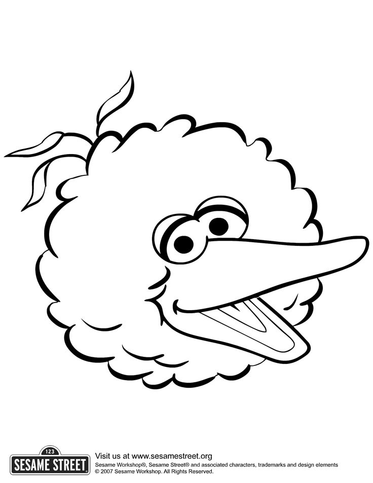 Big bird face coloring pages bird coloring pages sesame street coloring pages sesame street