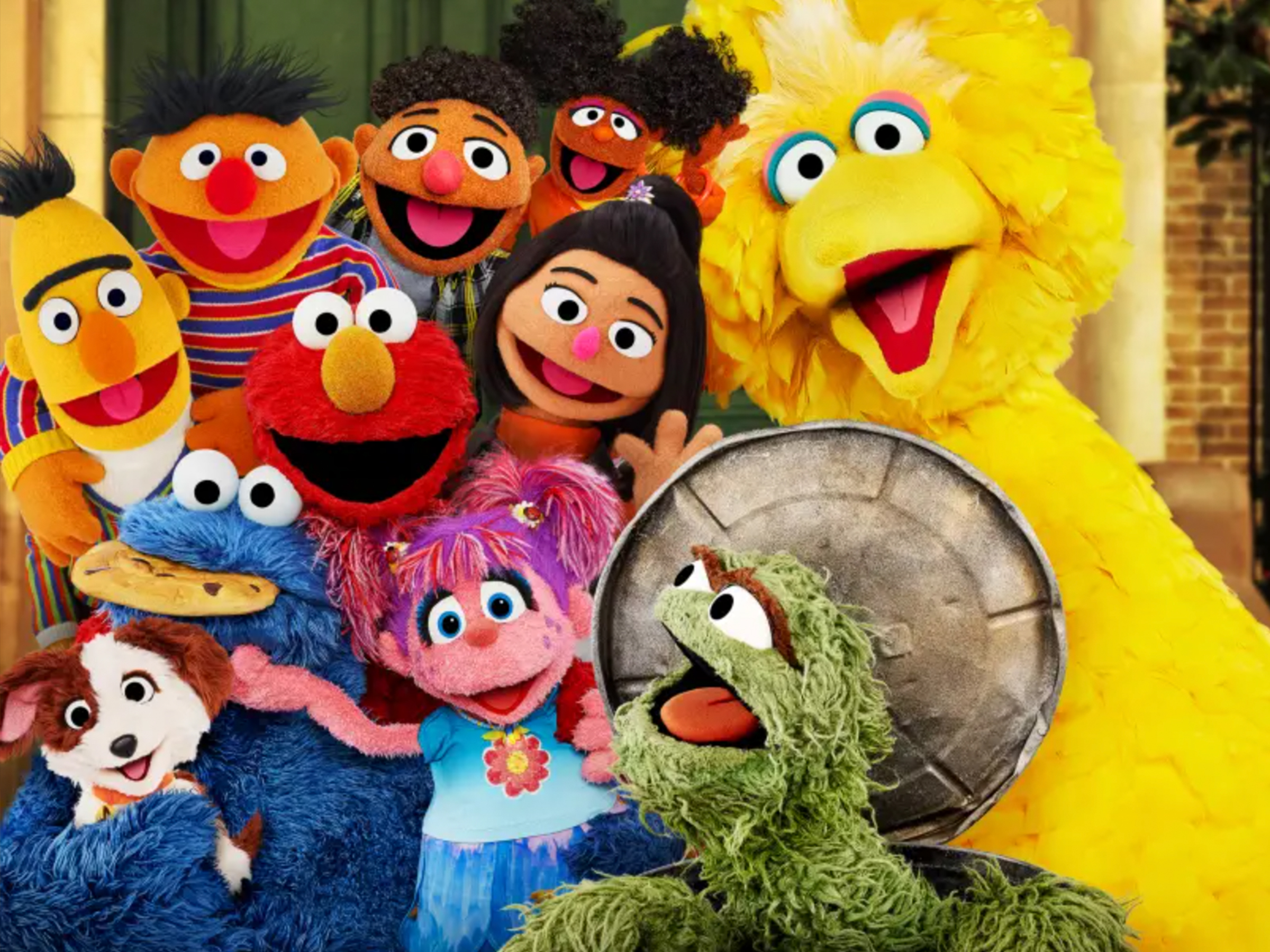 Sesame street season