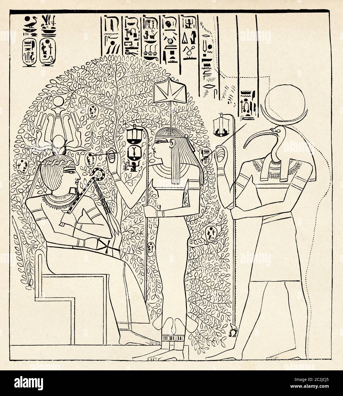 Atmoo thoth the goddess of letters seshat writing the name of remeses on the fruit of the persea memnonium thebes ancient egypt old th century engraved illustration el mundo ilustrado