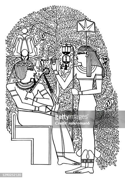 Seshat stock photos high