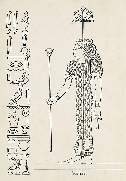 Ancient egyptian hieroglyph of seshat goddess of for sale as framed prints photos wall art and photo gifts