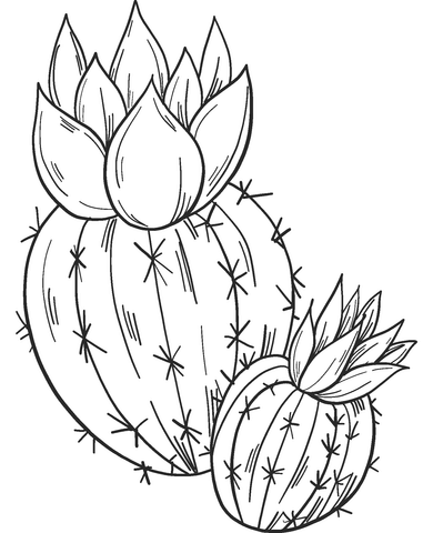 Cactuses coloring page free printable coloring pages