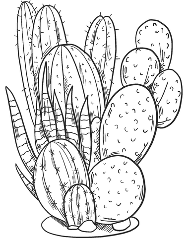 Cactuses coloring page free printable coloring pages