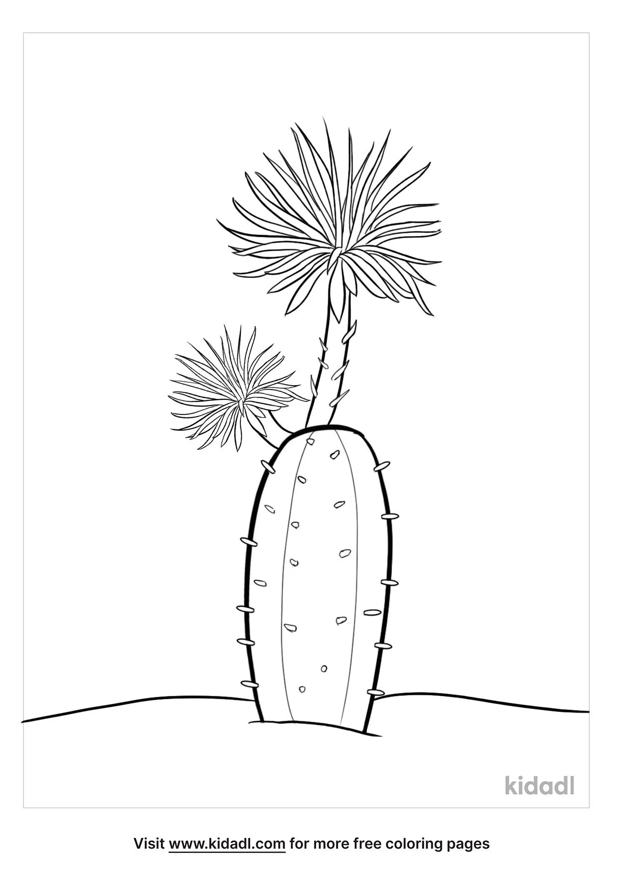 Free setiechinopsis mirabilis coloring page coloring page printables