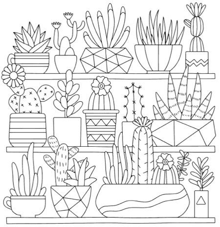 Best succulent cactus coloring books pages pattern coloring pages coloring books coloring pages