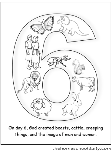 Days of creation coloring pages