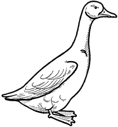 Drawing a goose how to draw geese step by step tutorial