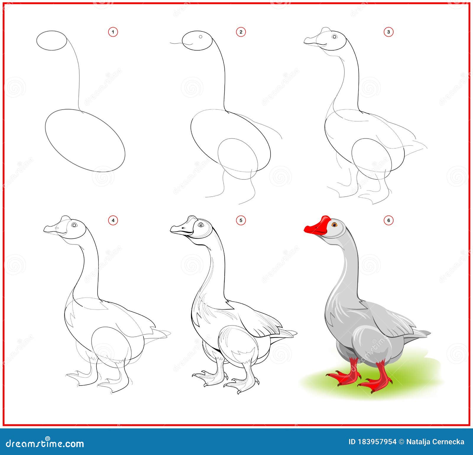 Page shows how to learn to draw step by step cute goose from farm developing children skills for drawing and coloring stock vector