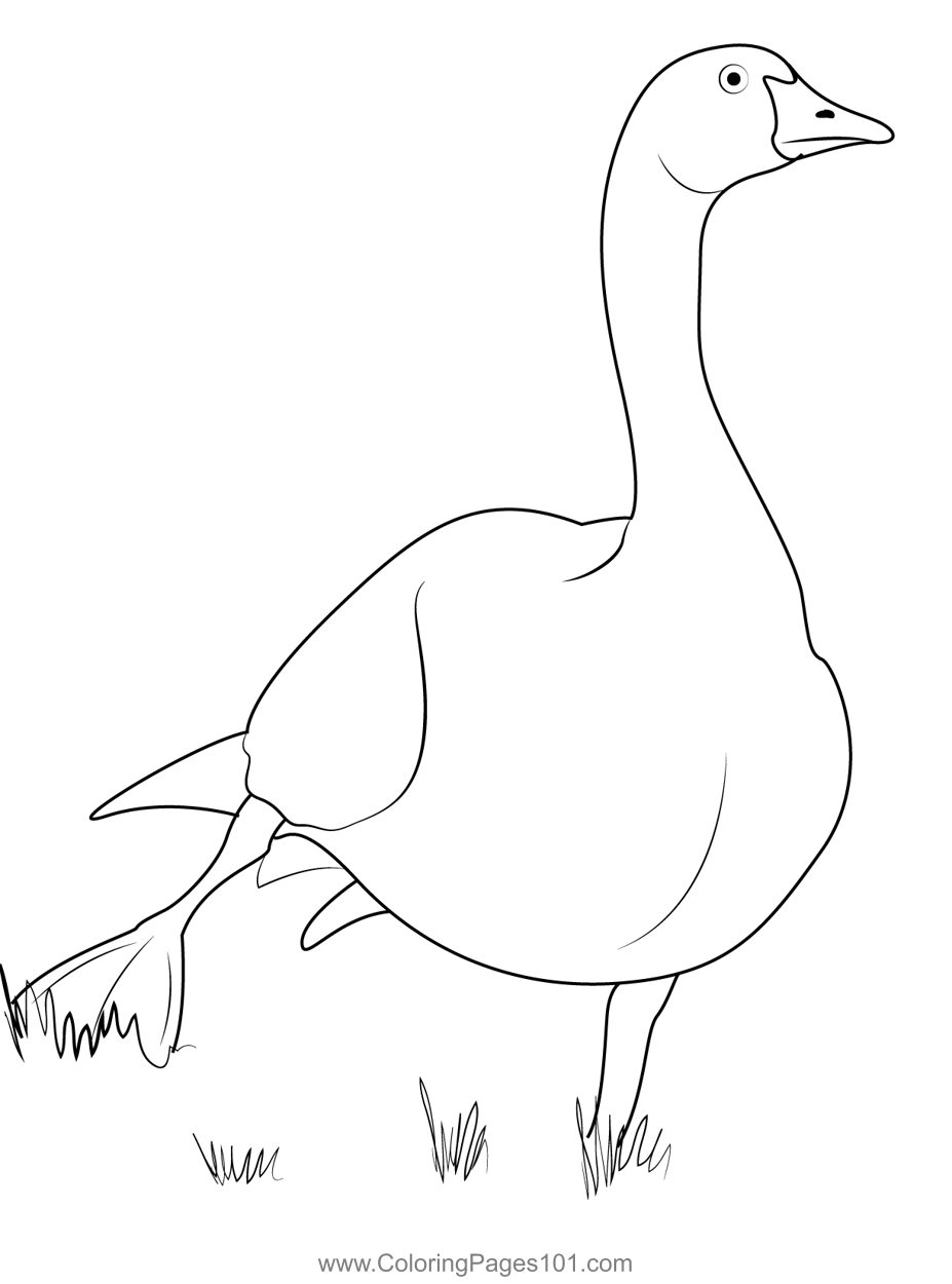 Goose coloring page coloring pages printable coloring pages color