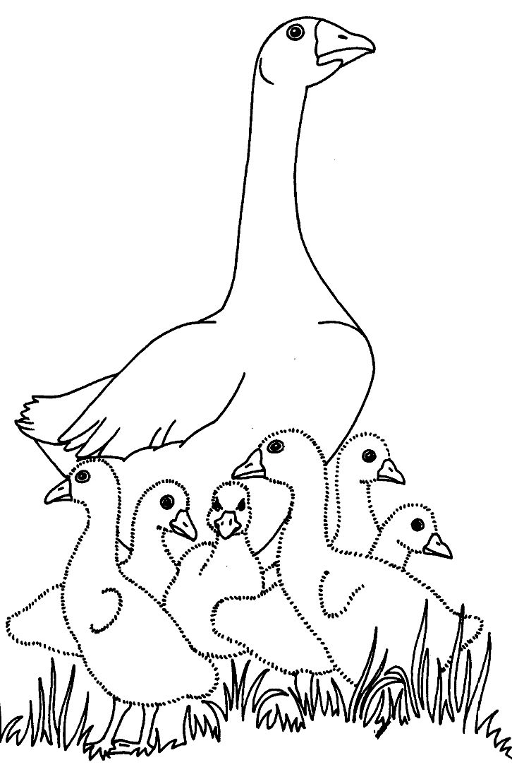 Beautiful geese coloring pages