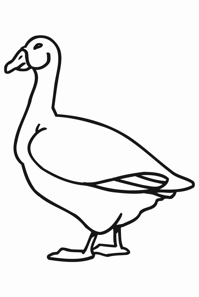 Geese coloring pages