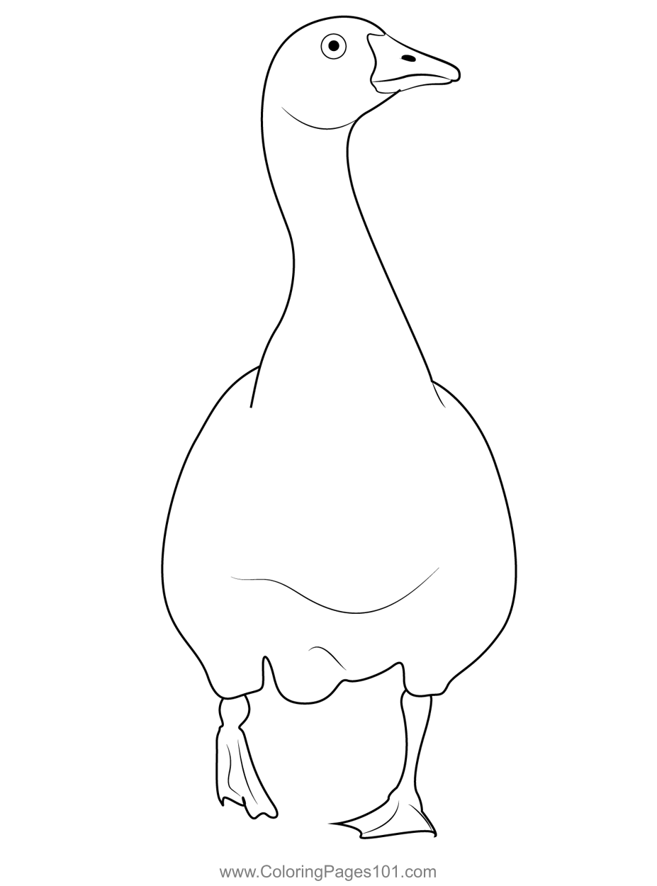 Goose coloring page coloring pages printable coloring pages color