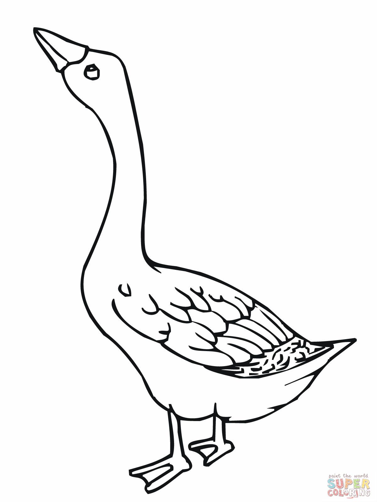 Goose coloring page bird coloring pages coloring pages animal coloring pages