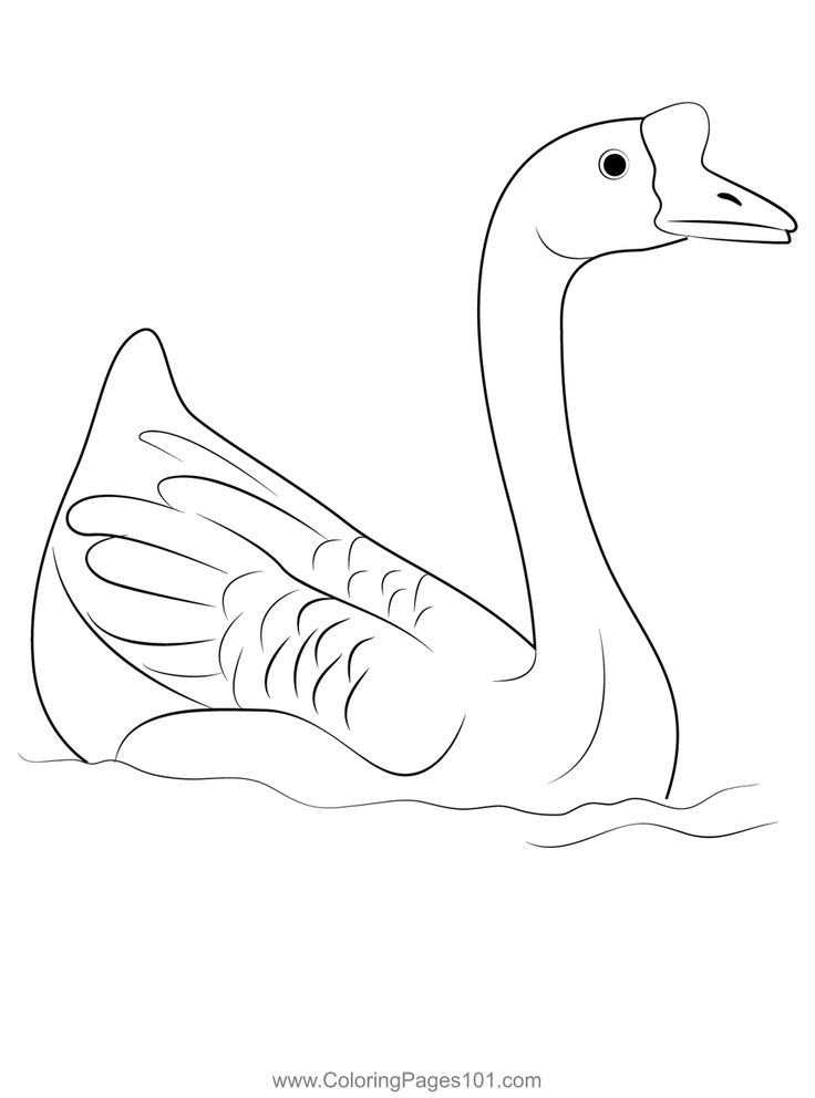 Chinese goose coloring page in coloring pages coloring pages for kids printable coloring pages