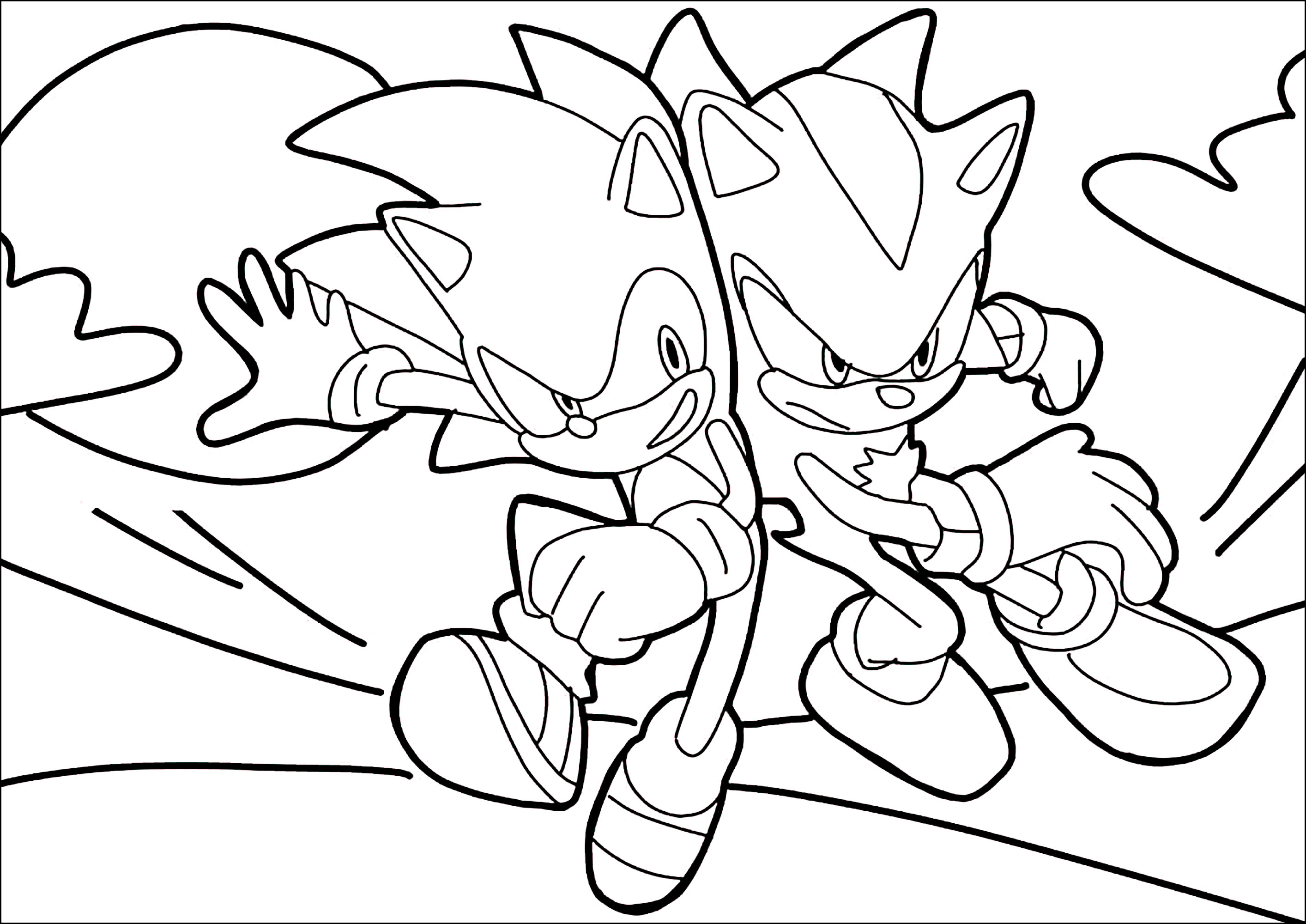 Shadow the hedgehog with sonic