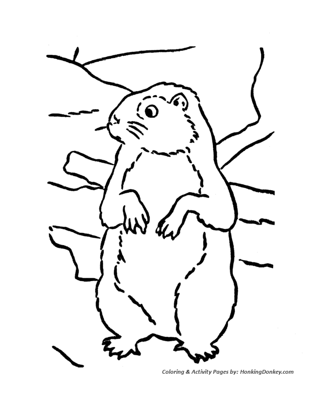 Groundhog day coloring pages