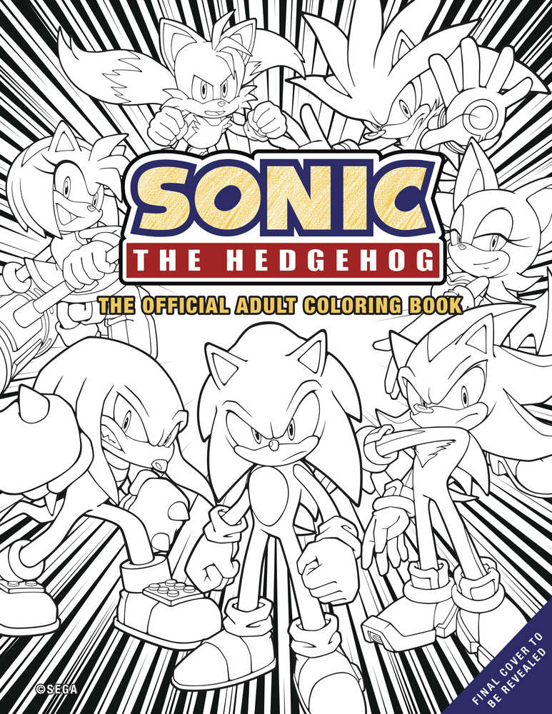 Sonic the hedgehog official coloring book â secret headquarters ic emporium