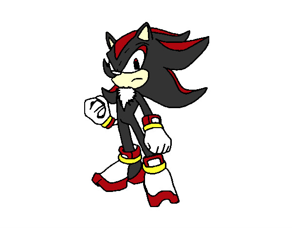 Colored page shadow the hedgehog painted by link