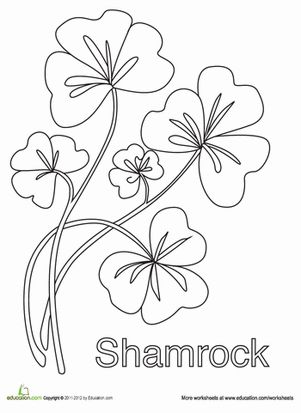 Shamrock coloring page for st patricks day