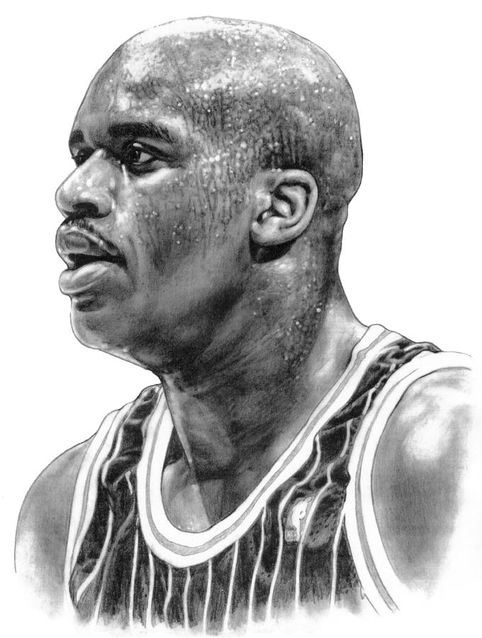 Shaq oneal drawing by harry west