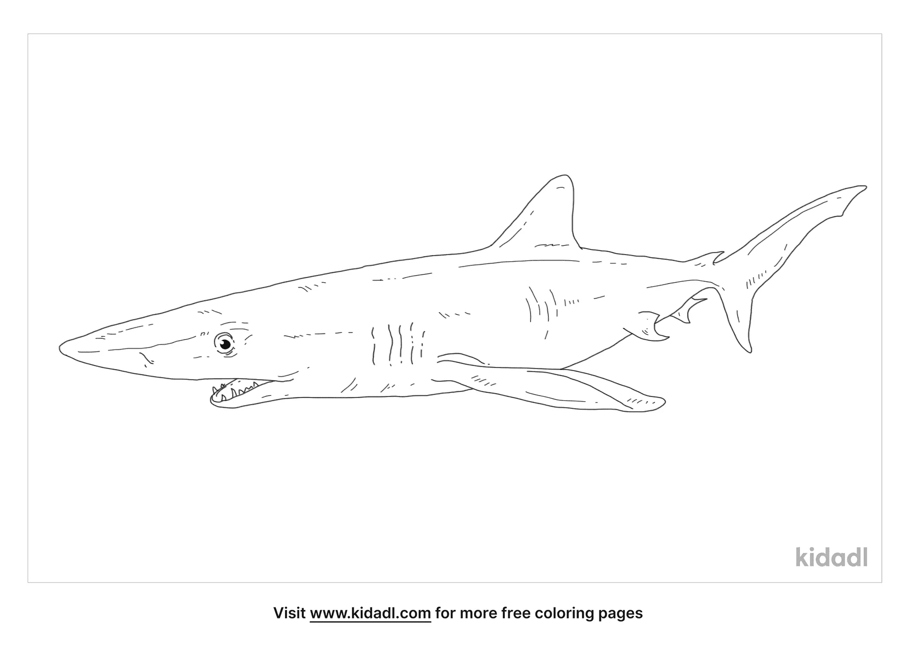 Free blue shark coloring page coloring page printables