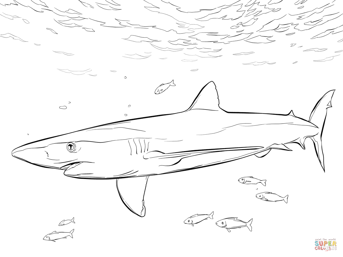 Blue shark with pilot fishes coloring page from blue sharks category select from printable craftsâ fish coloring page shark coloring pages coloring pages