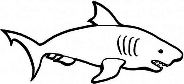 A simple drawing of blue shark coloring page kids play color easy drawings shark coloring pages giraffe coloring pages