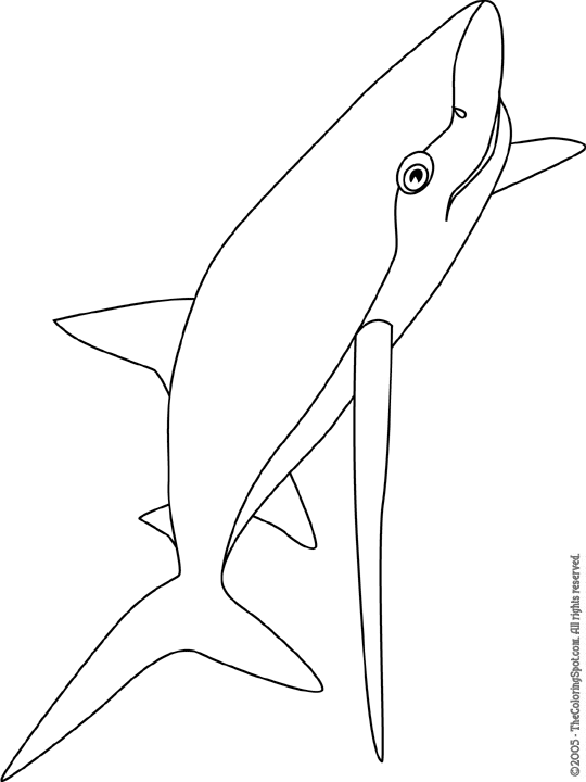 Blue shark coloring page audio stories for kids free coloring pages colouring printables