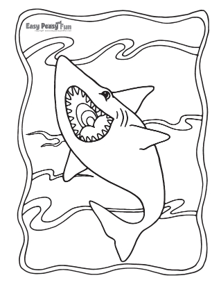 Shark coloring pages