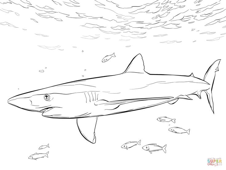 Blue shark with pilot fishes coloring page from blue sharks category select from printable craftsâ fish coloring page shark coloring pages coloring pages