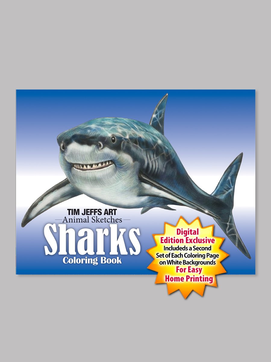 Animal sketches sharks coloring book â tim jeffs art