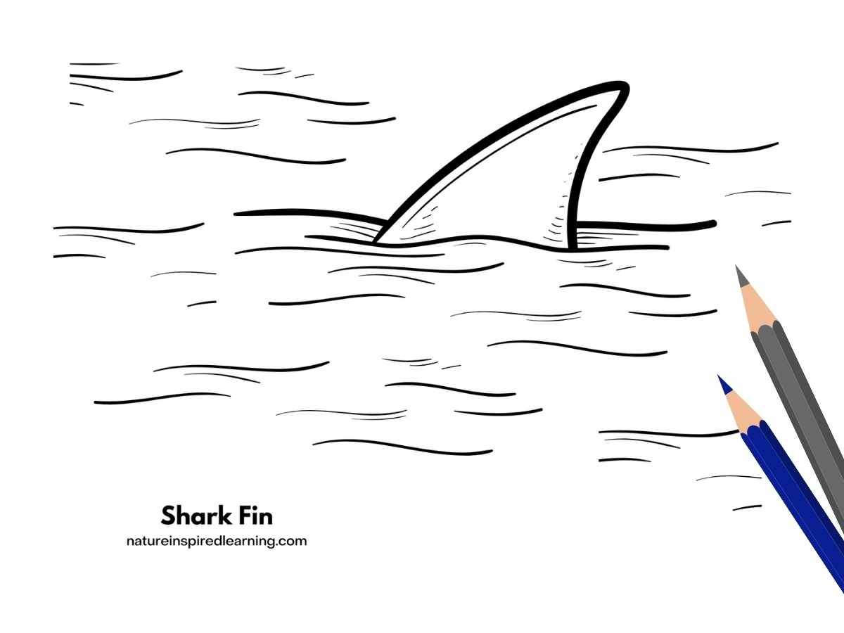 Great white shark coloring pages