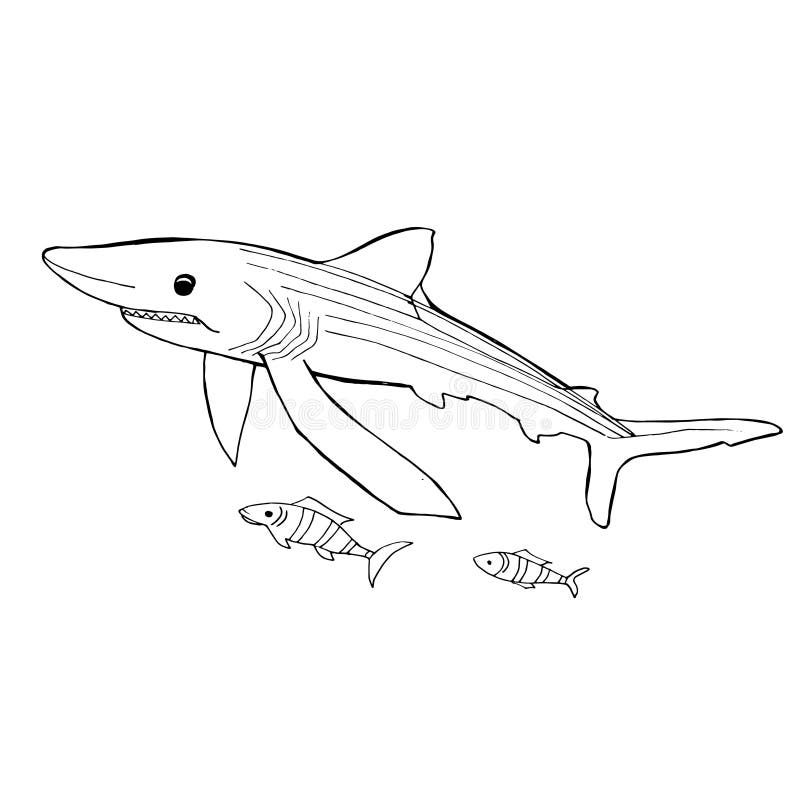 Bohemian reef shark coloring book stock illustration