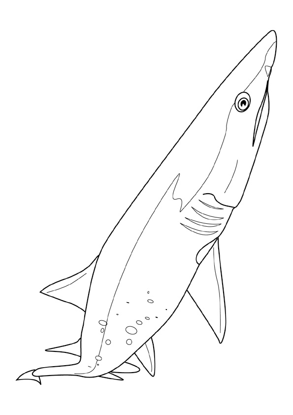 Coloring pages blue shark coloring pages