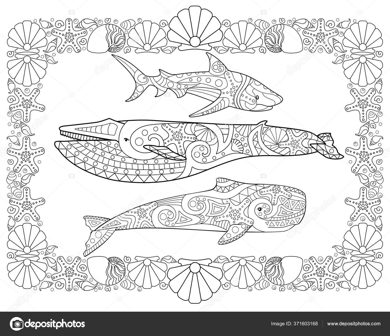 Sperm whale blue whale shark frame shells horizontal vector page stock vector by disaanna