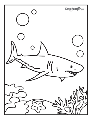 Shark coloring pages