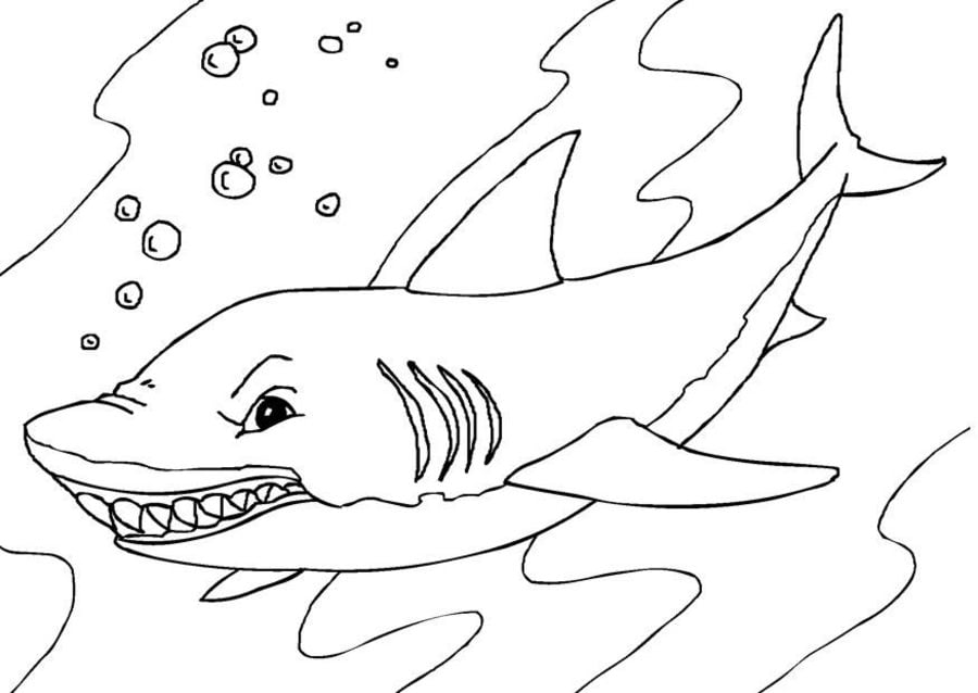 Coloring pages blue sharks printable for kids adults free