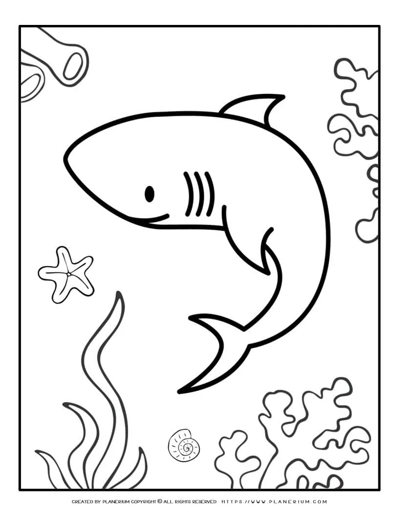 Shark coloring page