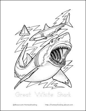 Here are free printables to learn about sharks shark coloring pages ocean coloring pages fish coloring page