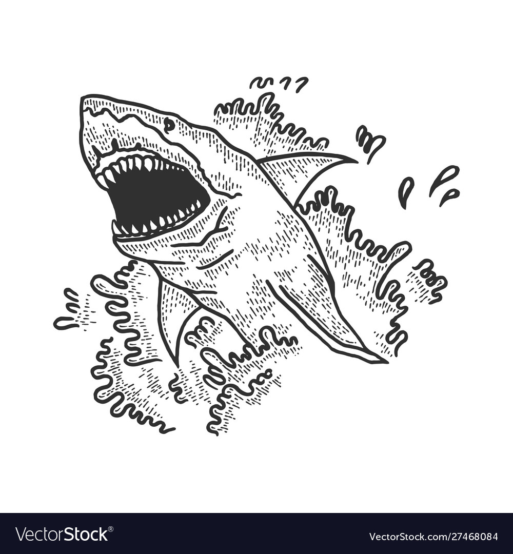 Shark jumps out water sketch engraving royalty free vector