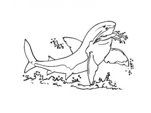 Shark coloring pages for kids