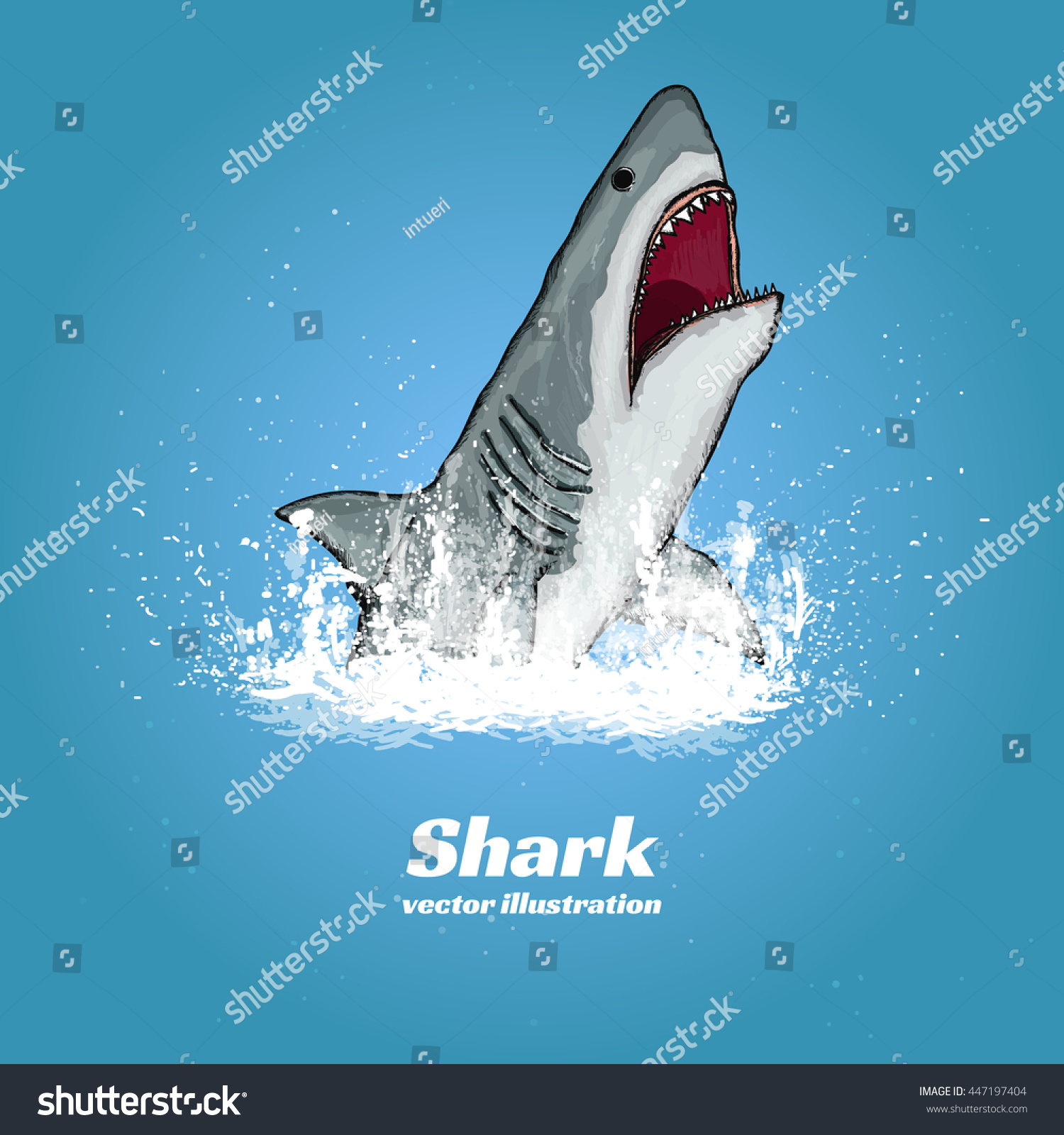 Great white shark jumping out water stock vector royalty free